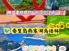 -燕塞湖鸟语林景区