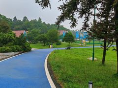 -宜兴龙背山森林公园