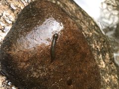 -碓臼峪自然风景区