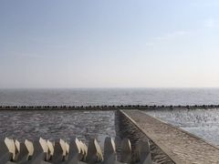 -南汇嘴观海公园