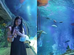 -沈阳海洋探索中心