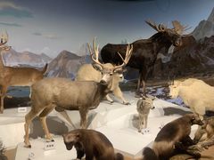 -陕西自然博物馆