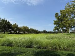 -汉长安城未央宫国家考古遗址公园