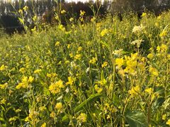 -长春公园(普阳街道)