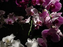 -春暖花开(西溪店)