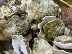 -老家黄墩小错鸡·活海鲜