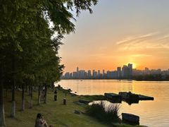 -洋湖国家湿地公园