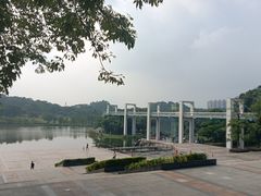 -东莞植物园