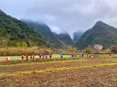 -靖西鹅泉风景区