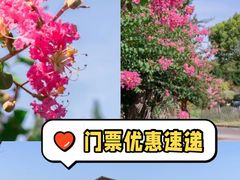 -东平国家森林公园
