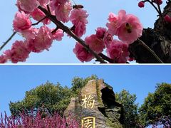 -无锡梅园公园