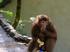 -西岭雪山大飞水景区
