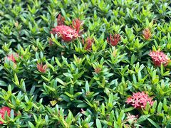 -三亚南山文化旅游区