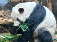 -深圳野生动物园