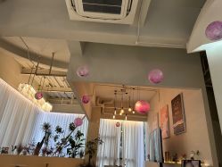 -韩芙莱芳疗spa健康管理