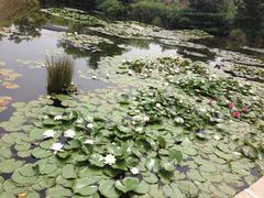 -白马涧龙池景区