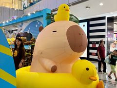 -凯德MALL(西直门店)