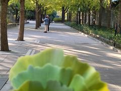 -月坛公园