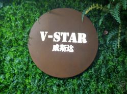 -V-STAR威斯达•高级私人定制