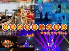 -泉城欧乐堡海洋极地世界