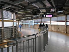 -望京西(地铁站)