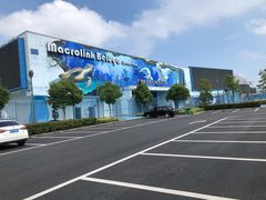 -芜湖新华联大白鲸海洋公园