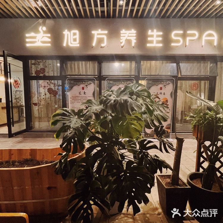 被SPA拯救的都丽们