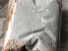 拿破仑-上海哈尔滨食品厂(淮海中路店)