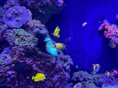 -成都浩海立方海洋公园