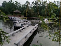 -日照海滨国家森林公园