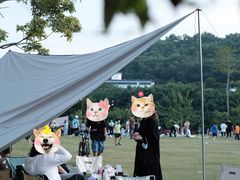 -大屏嶂森林公园