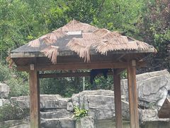 -黔灵山公园