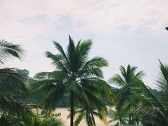 -巴拉湾海滩