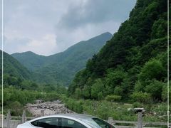 -牛背梁国家森林公园
