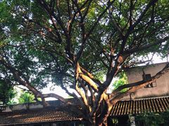 -喜洲吧·江畔老船厂·庭院餐厅(喜临院店)
