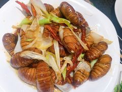 -老万烧烤(典逸心洲店)
