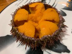 海胆-松云居