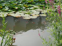 -苏州香山国际大酒店