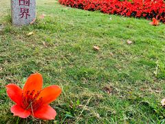 -珠江夜游省总码头