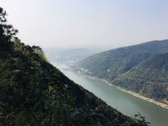 -铁山坪森林公园