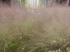 -苏州河梦清园环保主题公园