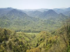 -黑河国家森林公园