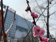 -北京明城墙遗址公园