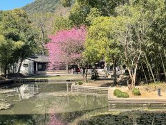 -兰亭风景区