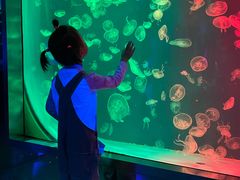 -沈阳海洋探索中心