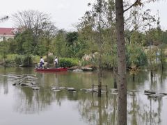 -上海长兴岛郊野公园