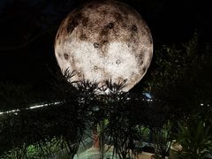-恬阿姨庭院餐厅·生日宴