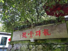 -龙井壹号·茶缘山景宴(龙井村店)