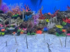 -成都浩海立方海洋公园