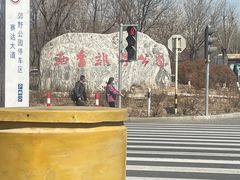 -西青郊野公园